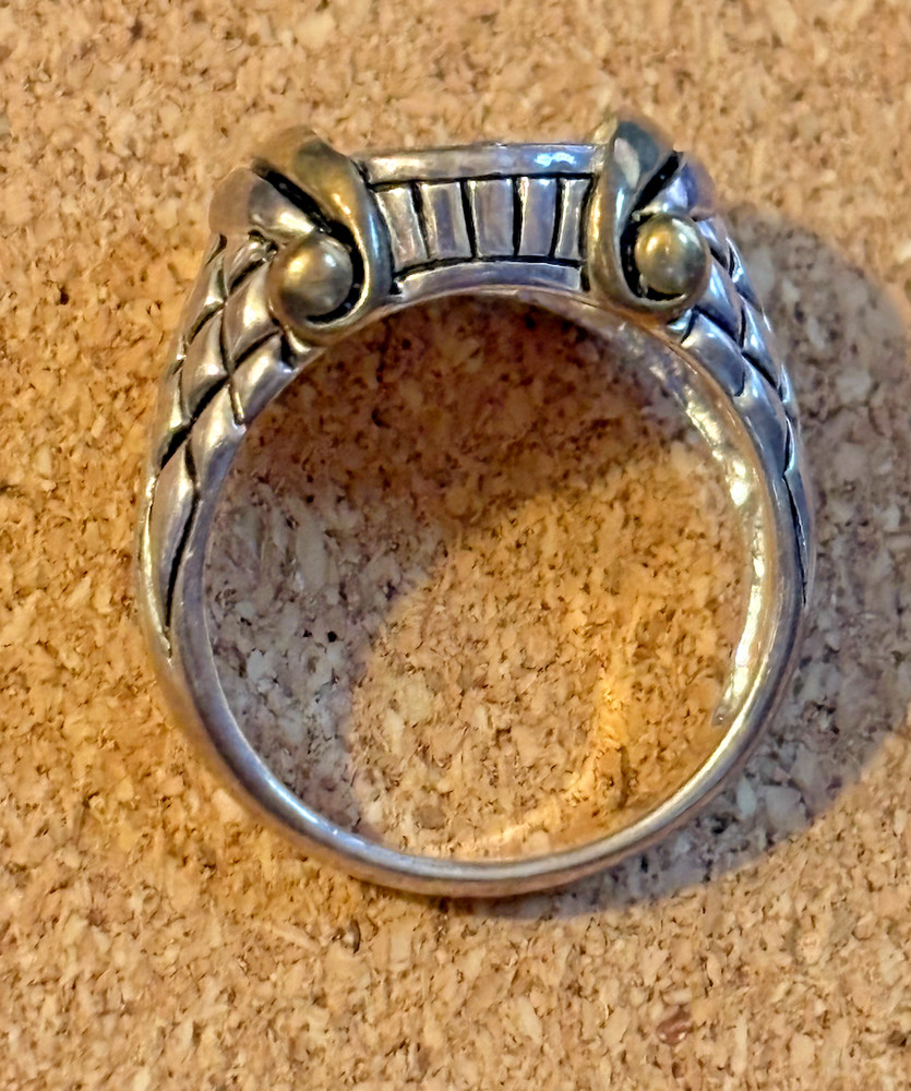 NF Sterling Silver 925 Gold Vermeil Ring BLANK Setting Python Design Shank SZ 6