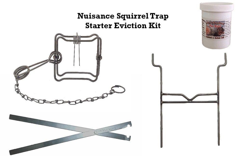 PcsOutdoors Nuisance Squirrel Starter Trap Eviction Kit