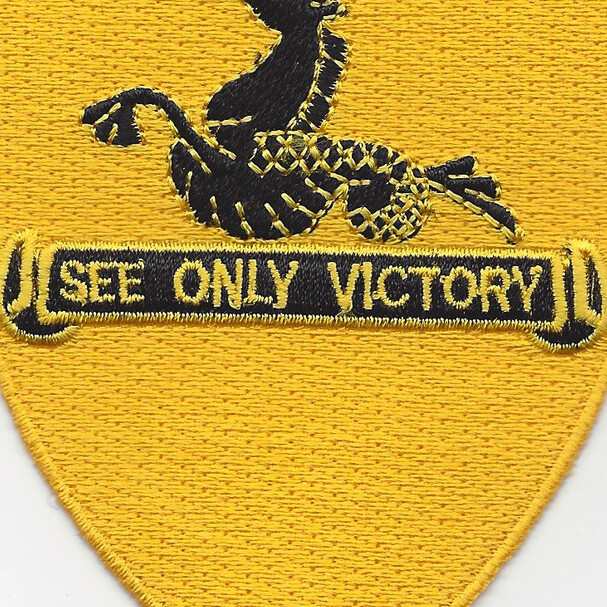 315th Cavalry Regiment Patch