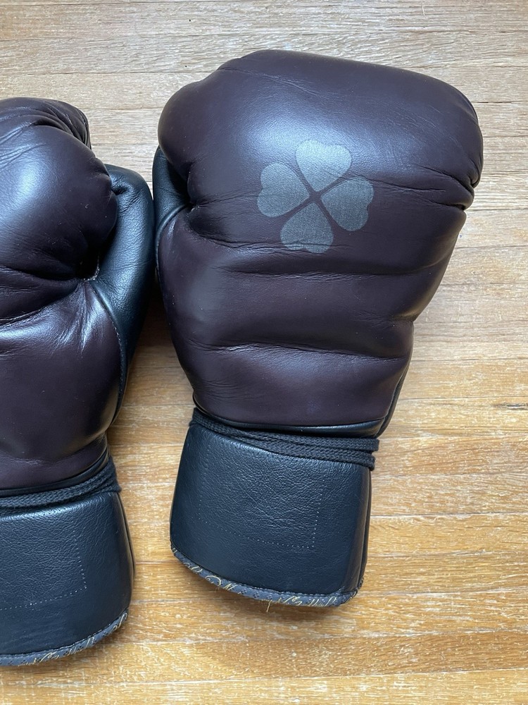 Di Nardo 16 oz Boxing Gloves