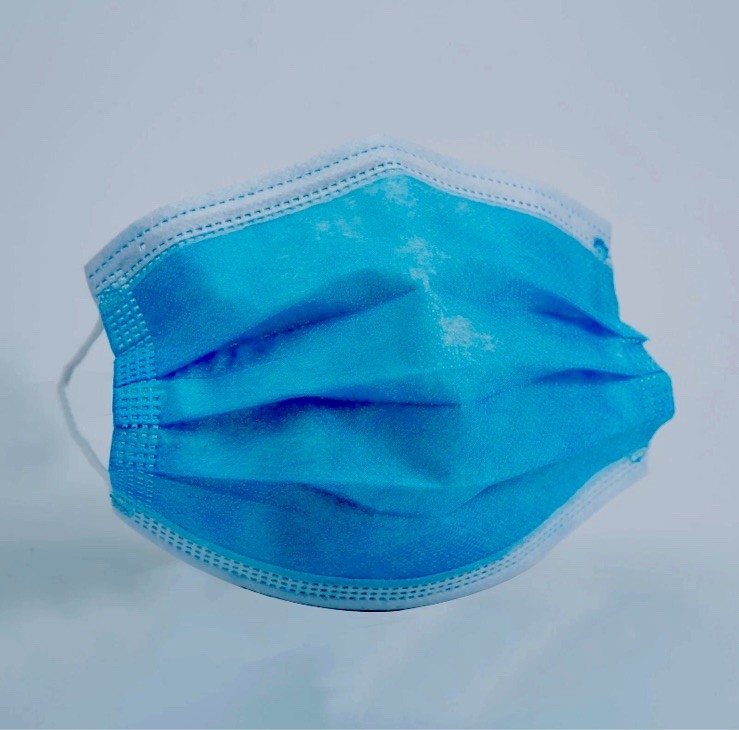 Disposable Protective 3-Layer Earloop Safety Masks 10PC USA