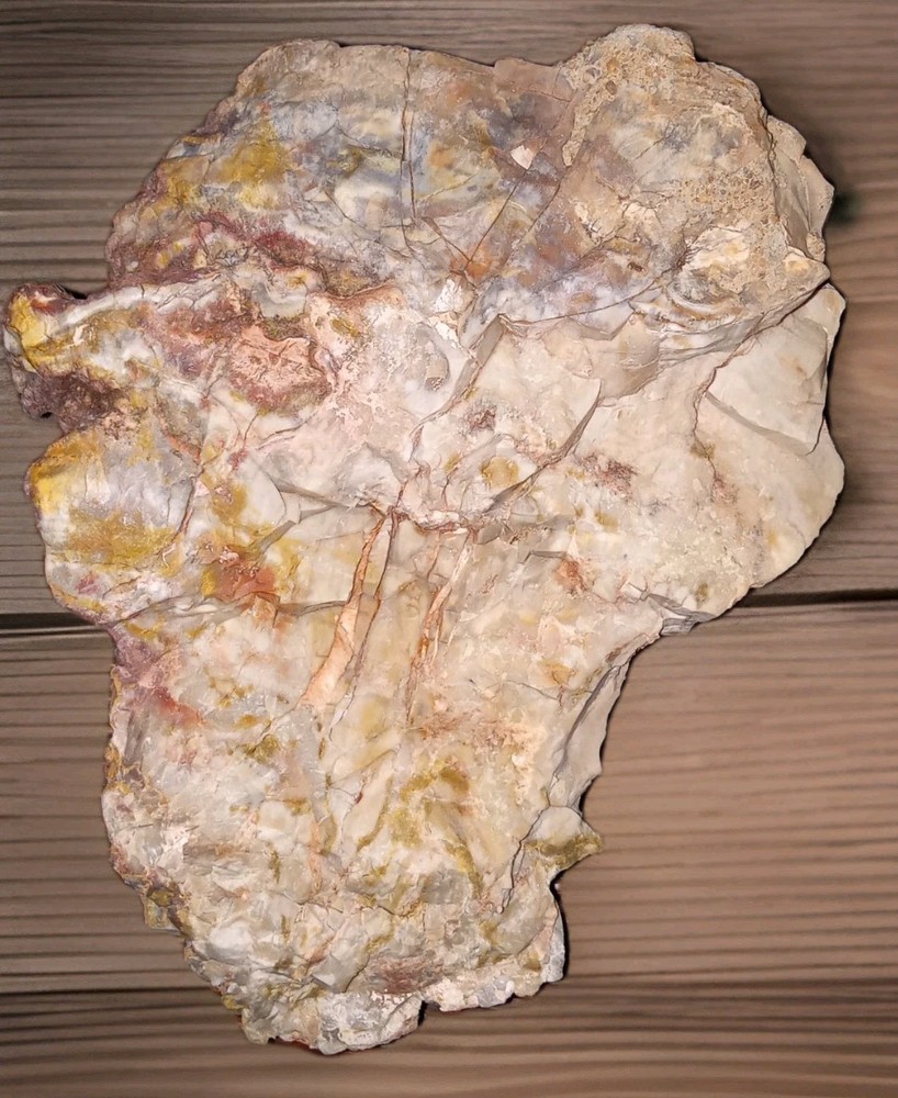 Petrified Opalized Rainbow Wood Rough 3 lbs+ AZ