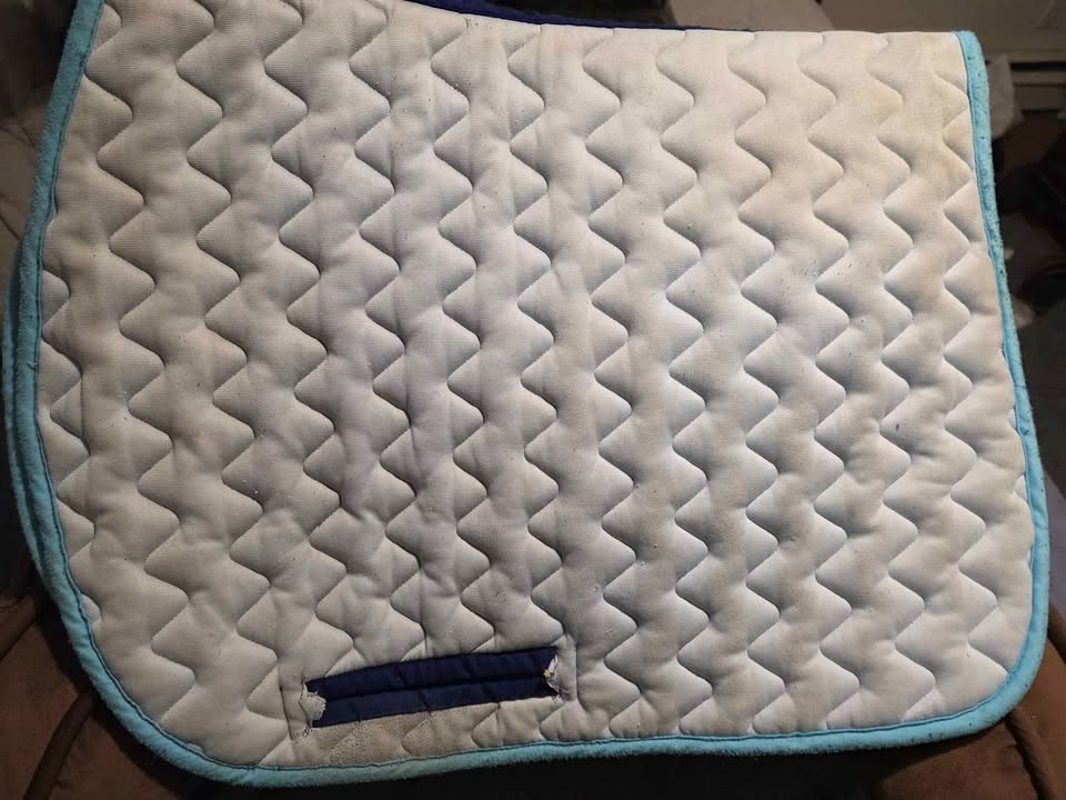 Lettia cool max saddle pad