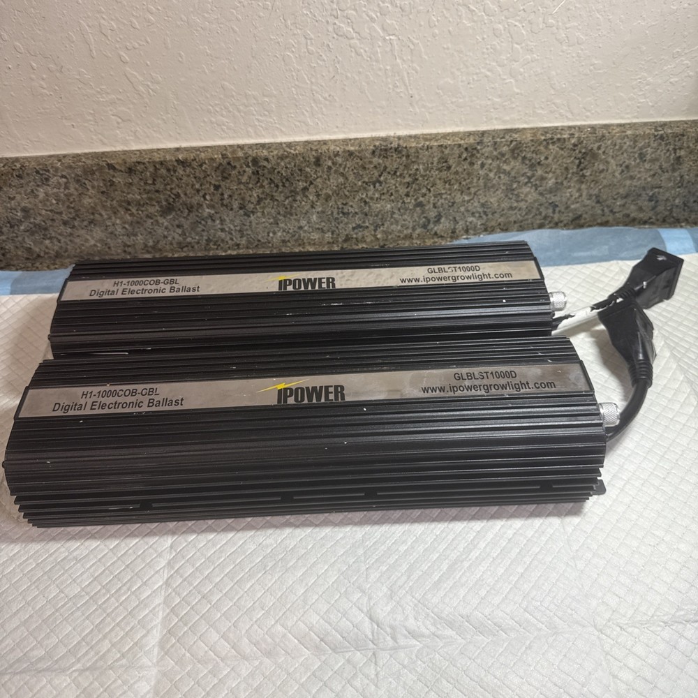 iPower GLBLST1000D 1000 Watt