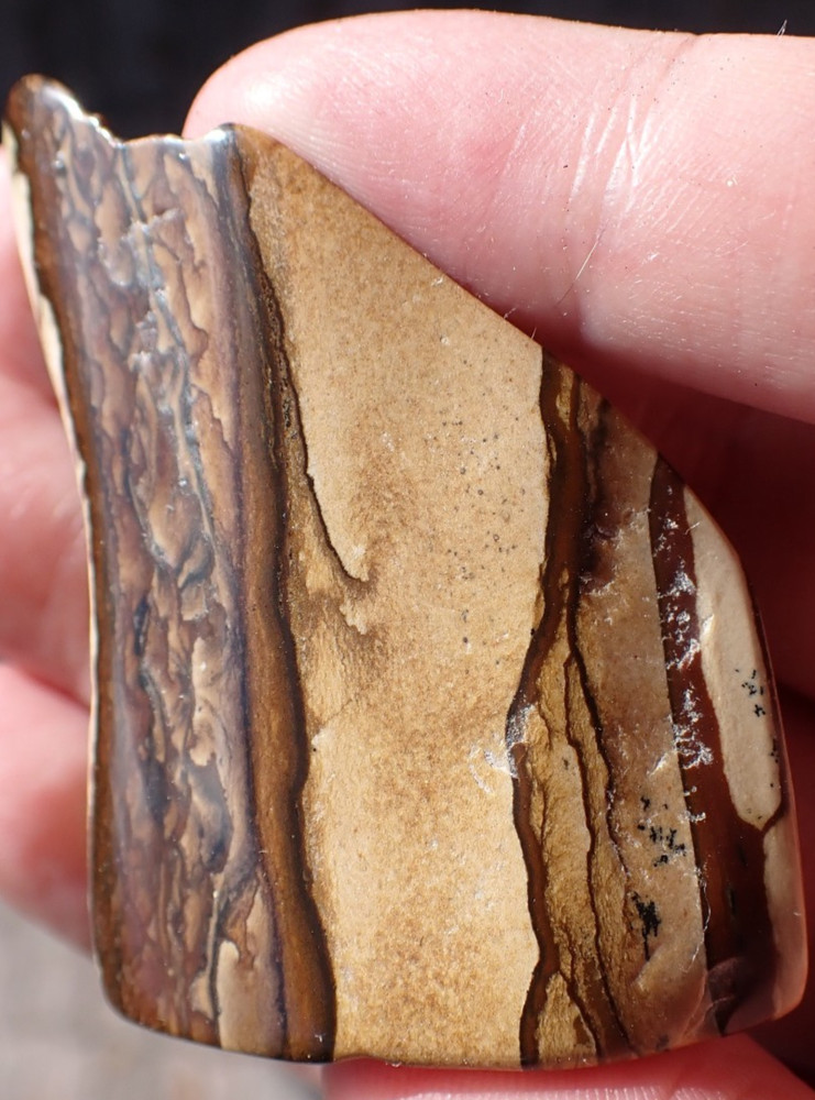 POLISHED BIGGS JASPER 38.5g