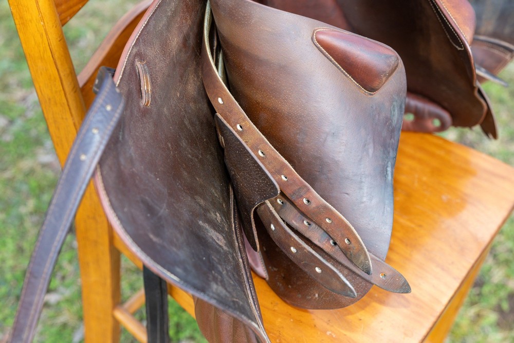 17" Devoucoux Biarritz Saddle Calf with D3D panels