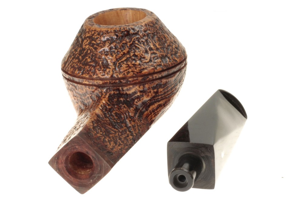 Ser Jacopo S2 (B) Maxima Maxima - Straight Rhodesian