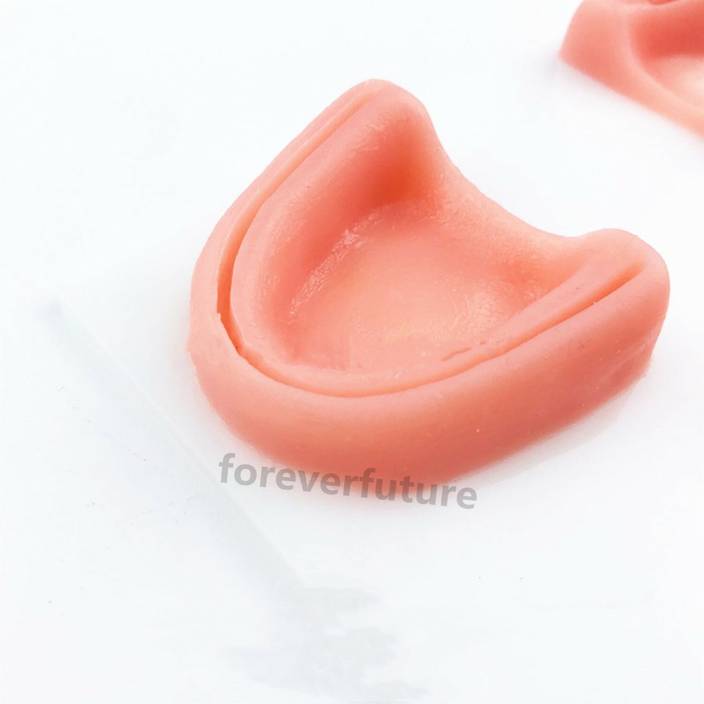 Dental Simulation Suture Model Gum Teaching Training Sutures Dentist Practise