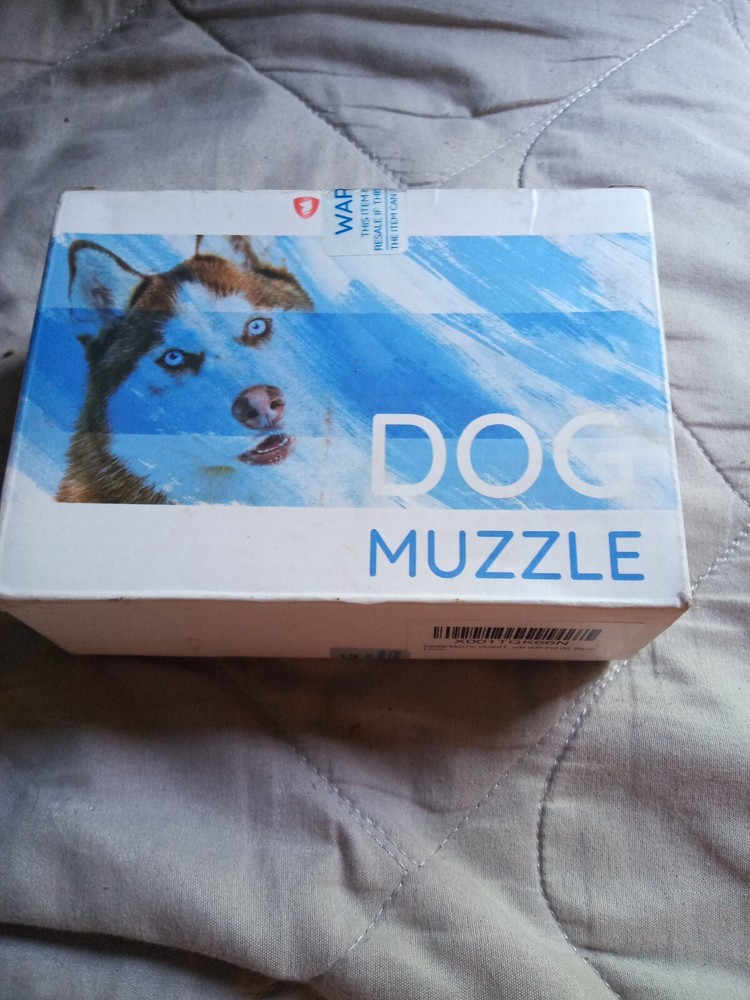 dog muzzle blue medium sized dog