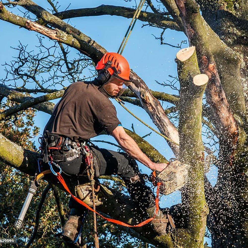 Tree Climbing Gear, Tree Climbing Spikes, Tree Climbing Gear with Adjustable