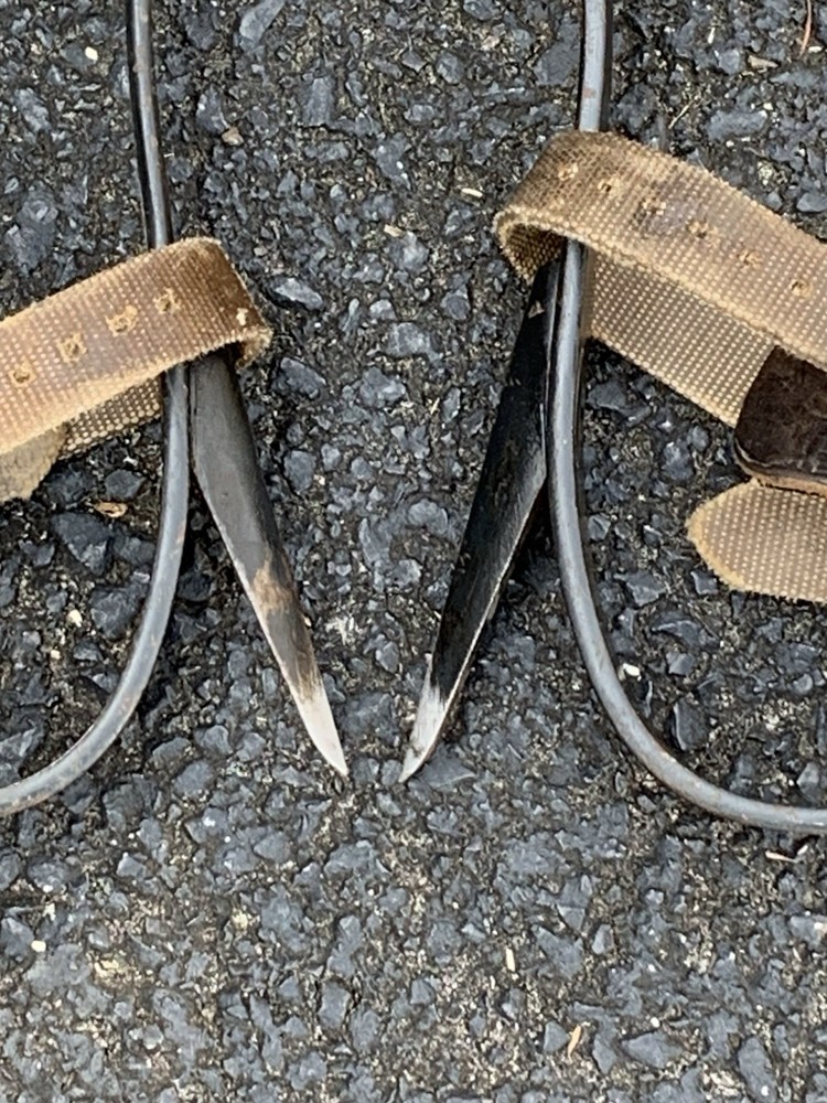 Buckingham Tree Climbing Spikes