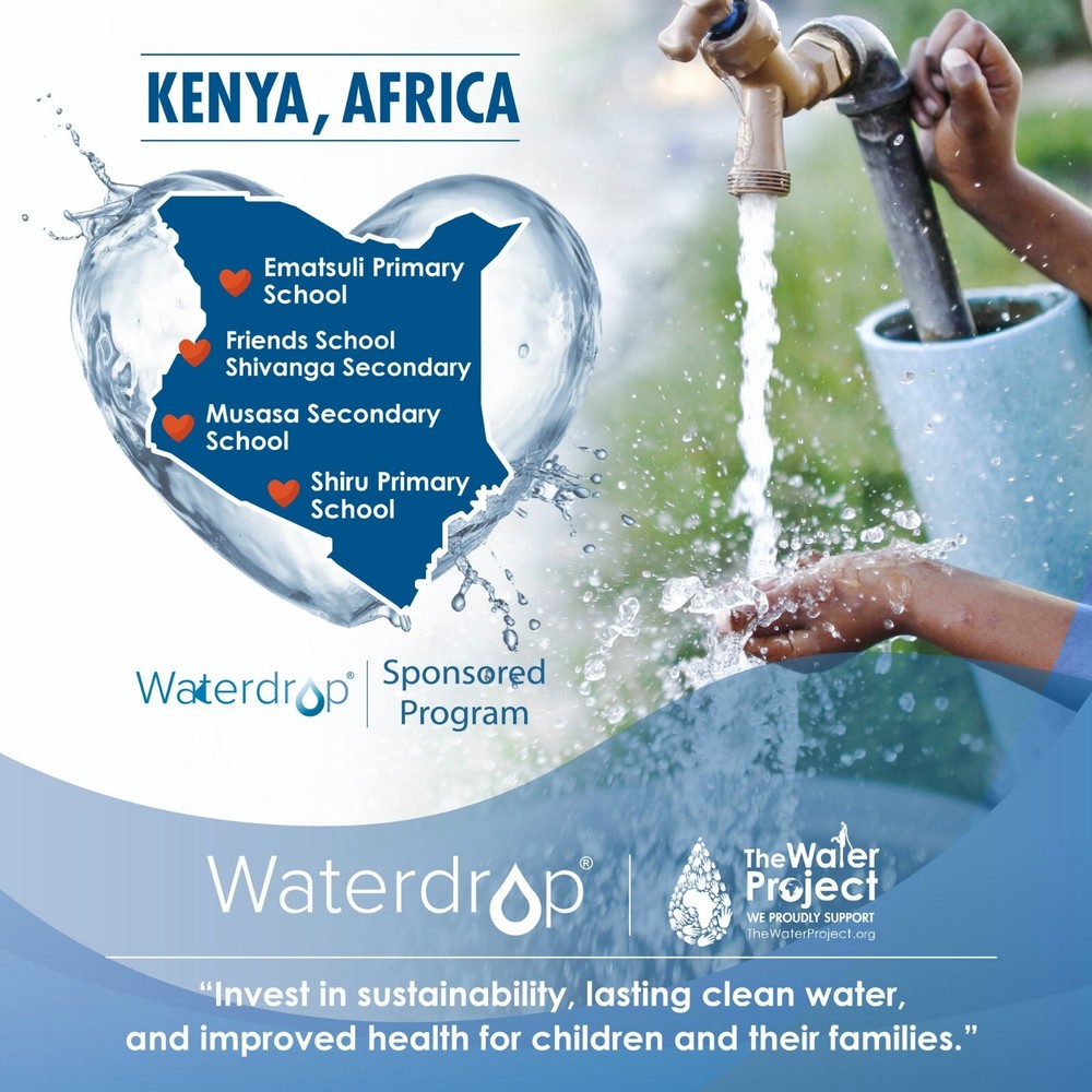 Waterdrop Refrigerator Water Filter, Replacement for LG® LT700P®, Pack of 4