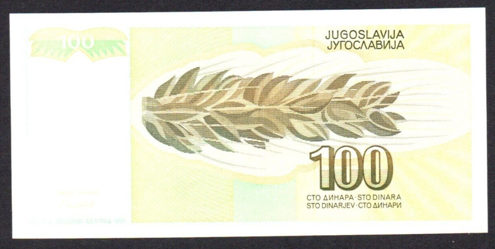 1991 YUGOSLAVIA 100 Dinara Banknote, P-108, aUNC