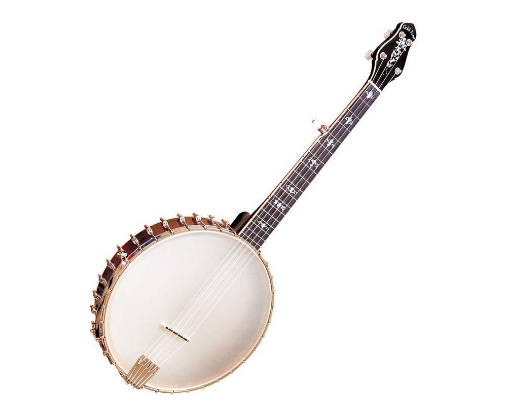 Gold Tone CEB-5 5-String Cello Banjo - Open Box