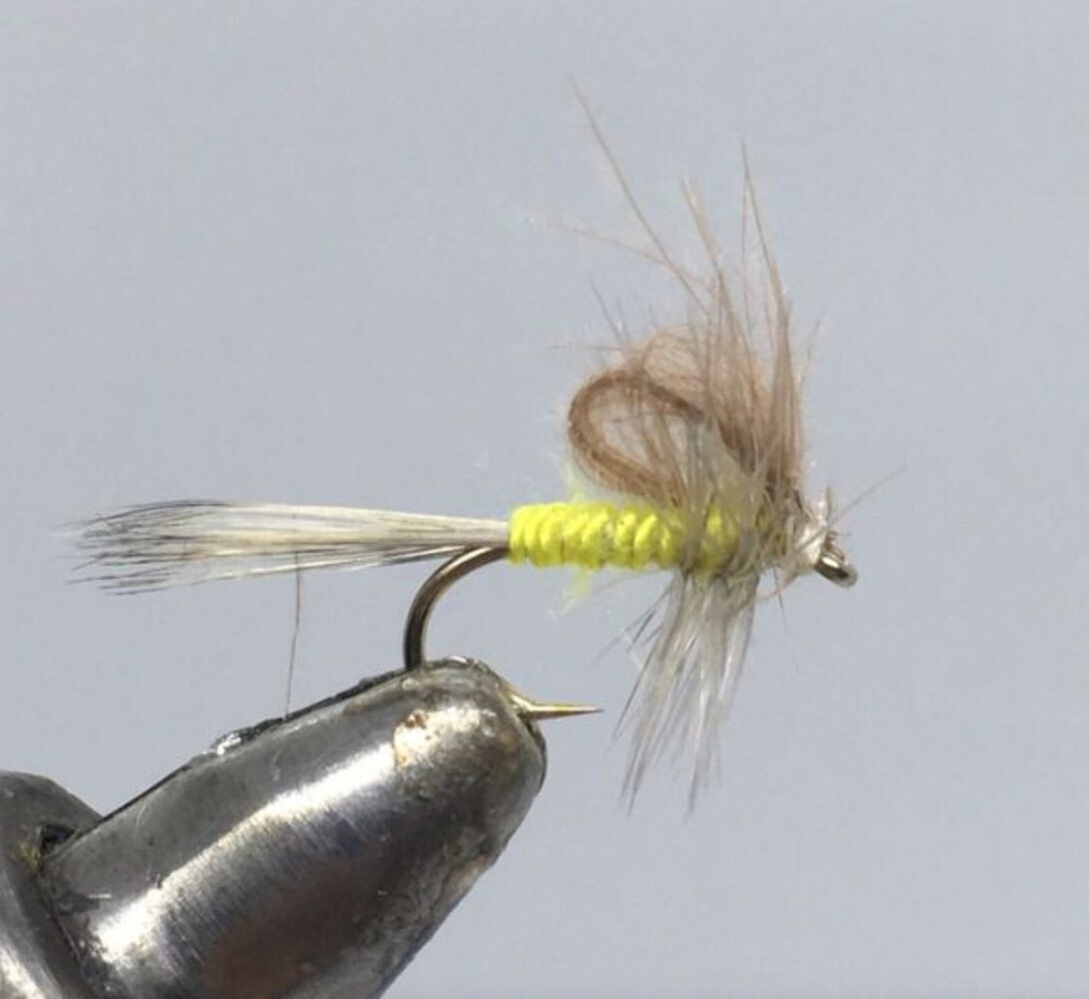 One Dozen (12) - CDC Loop Wing Emerger - Sulphur - Dry Fly