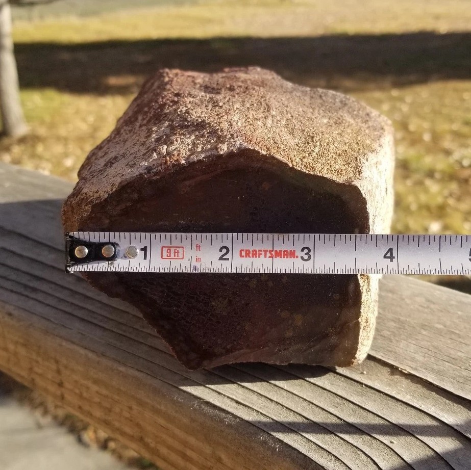 Great 8.75Lb Multi Color Agatized Dinosaur Gem Bone Polished Specimen Display