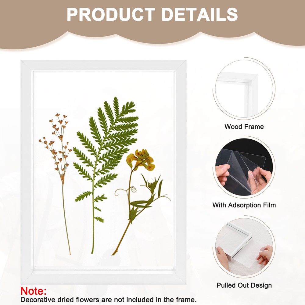 2-Pack Wooden Pressed Flower Frame, 5x7" Floating Frame [White]