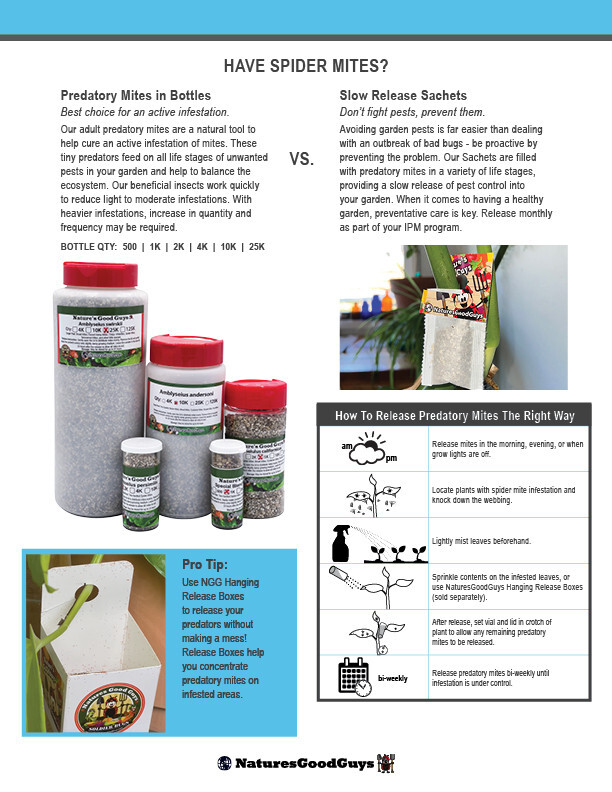 100 Slow Release Sachets - Amblyseius Cucumeris - Spider Mite and Thrip Control