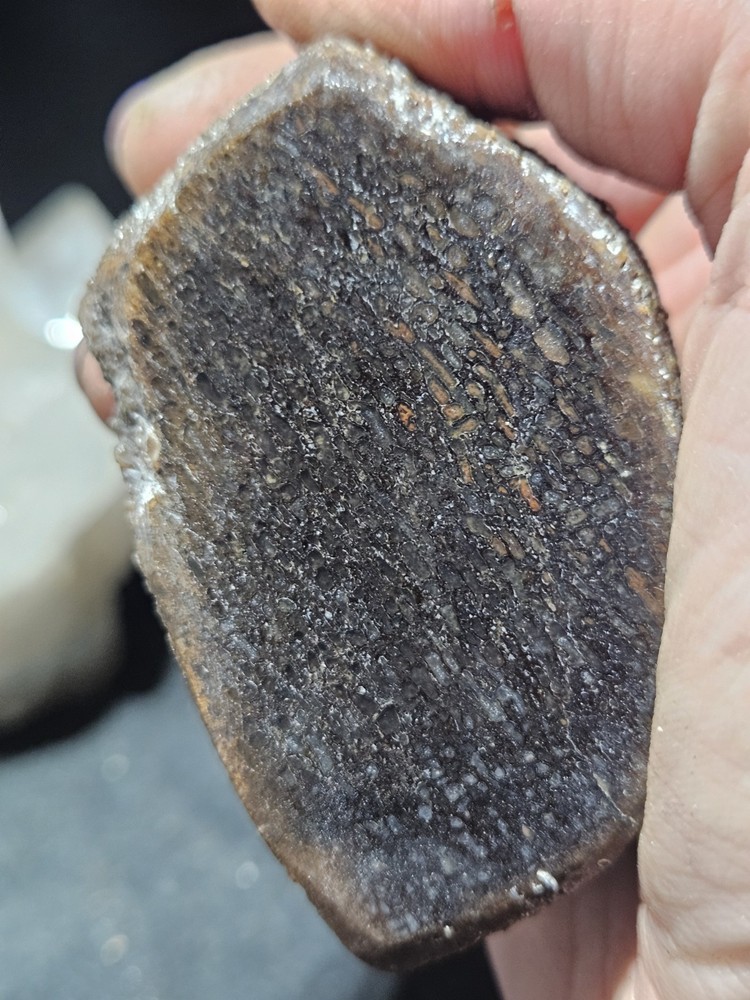 Gem Bone Multicolored Polished Specimen (8.2oz)