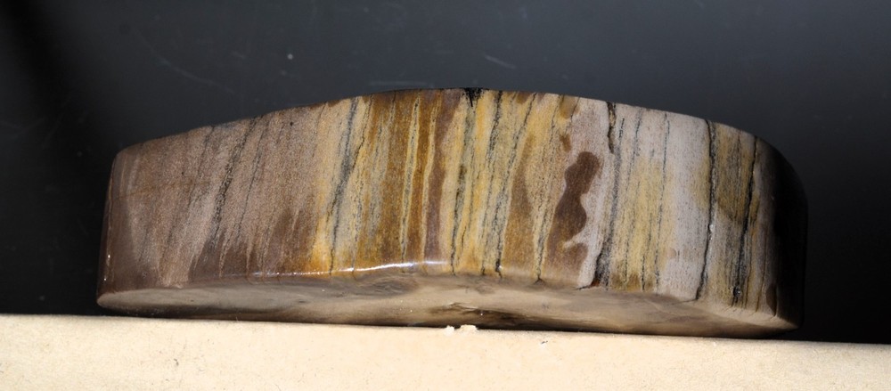 Utah Petrified Wood