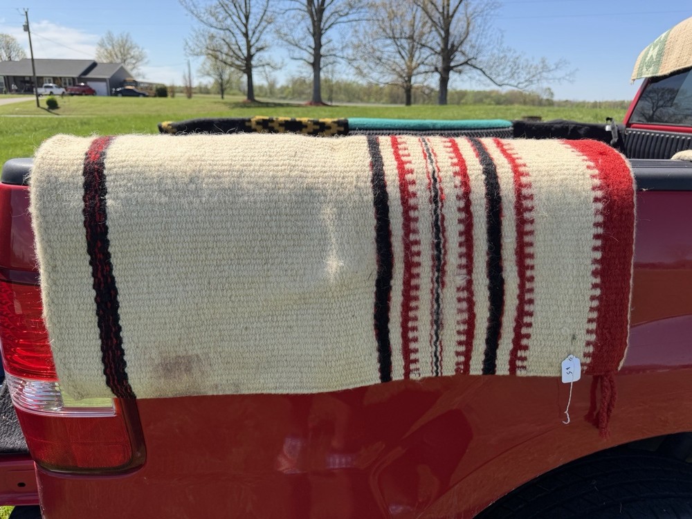 Horse showing tack essentials