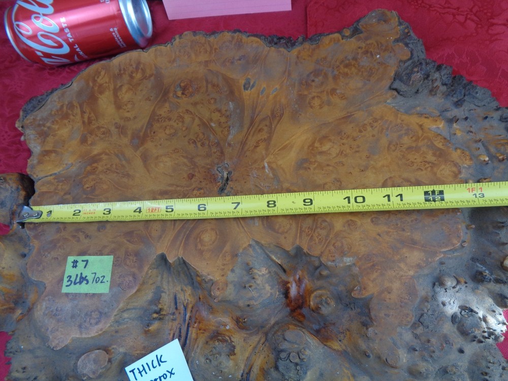 Burlwood Tree Slice #7