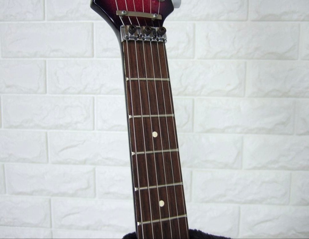 FERNANDES BSV Flying V type Safe Packing!