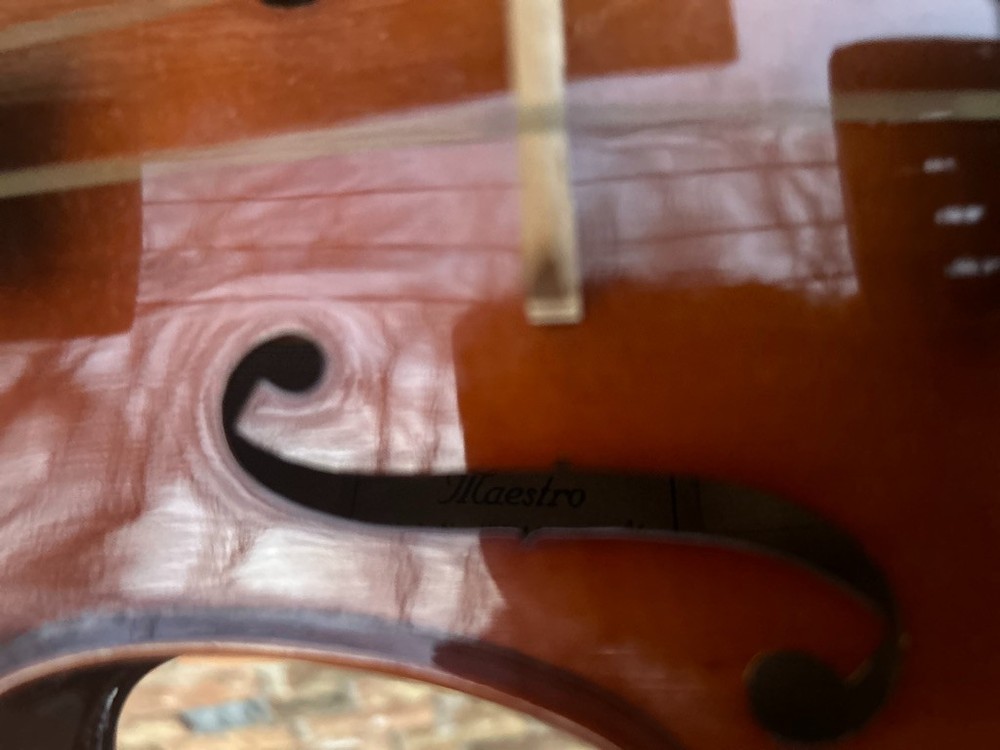Maestro violin with two bows