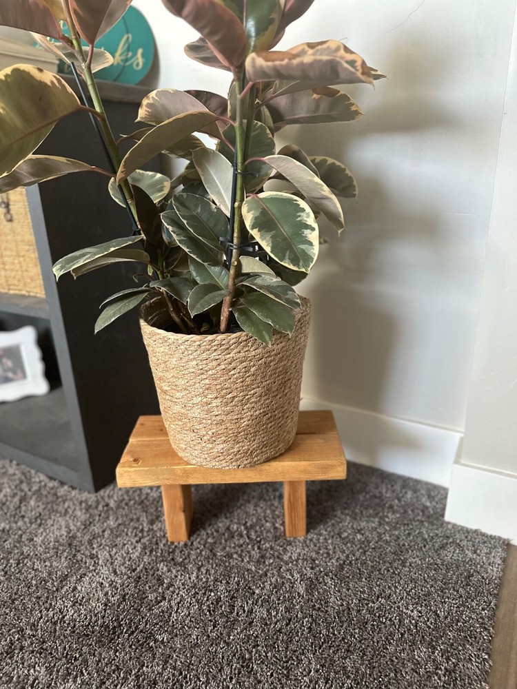 Small wood bench