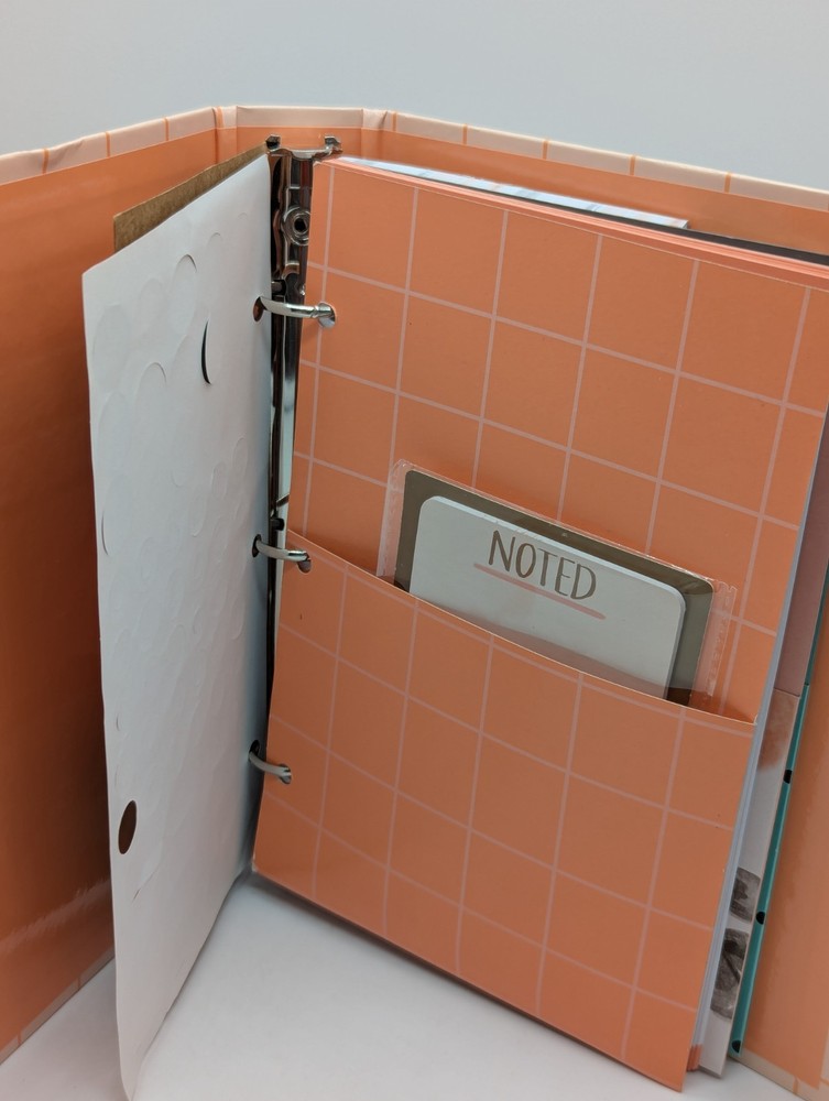 Day Planner W/Multiple Sections, Stickers, Sticky Notes, Pgs For Notes, Pockets