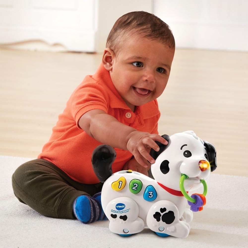 Interactive Pull and Sing Puppy Toy