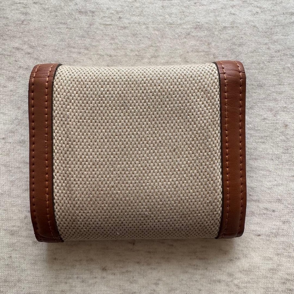 CELINE Small Flap Wallet Triomphe