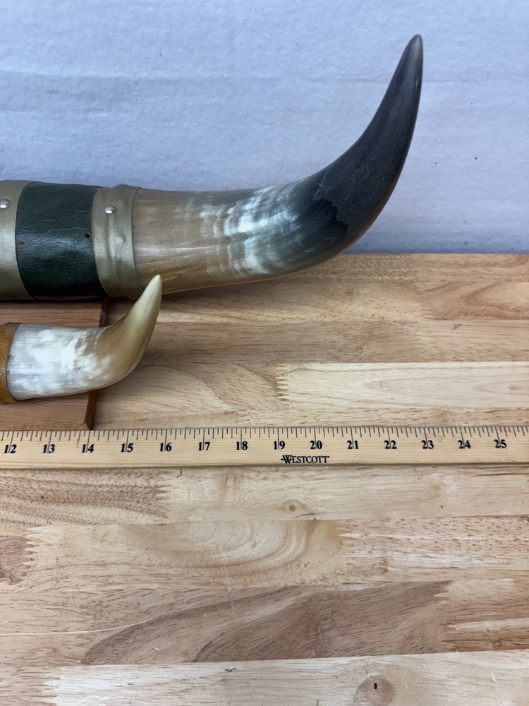 Mounted Steer Bull Horns Set