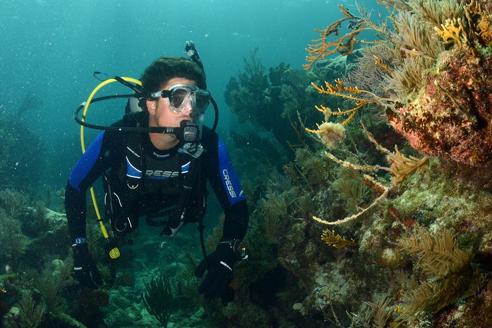 Cressi Travelight BCD