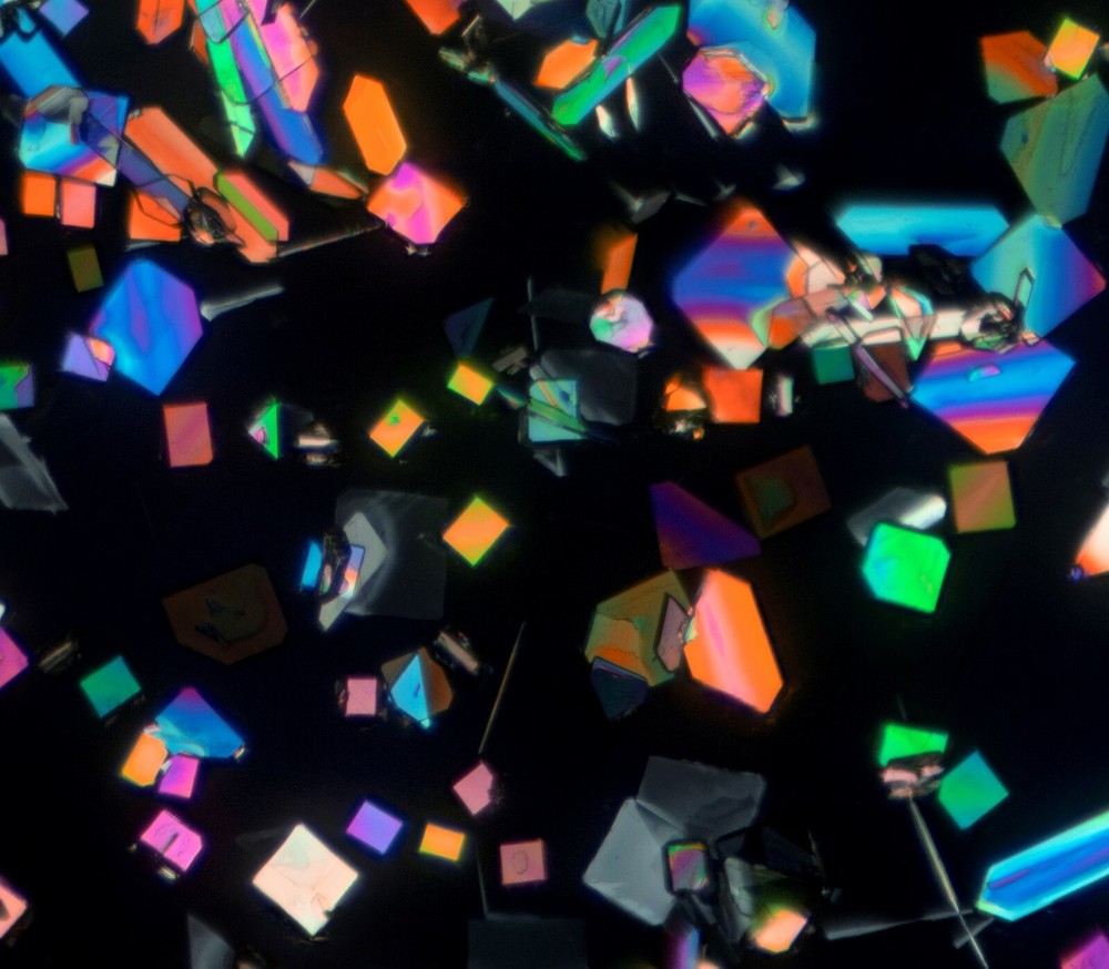 Microscope slide for polarized light POTASSIUM BITARTRATE