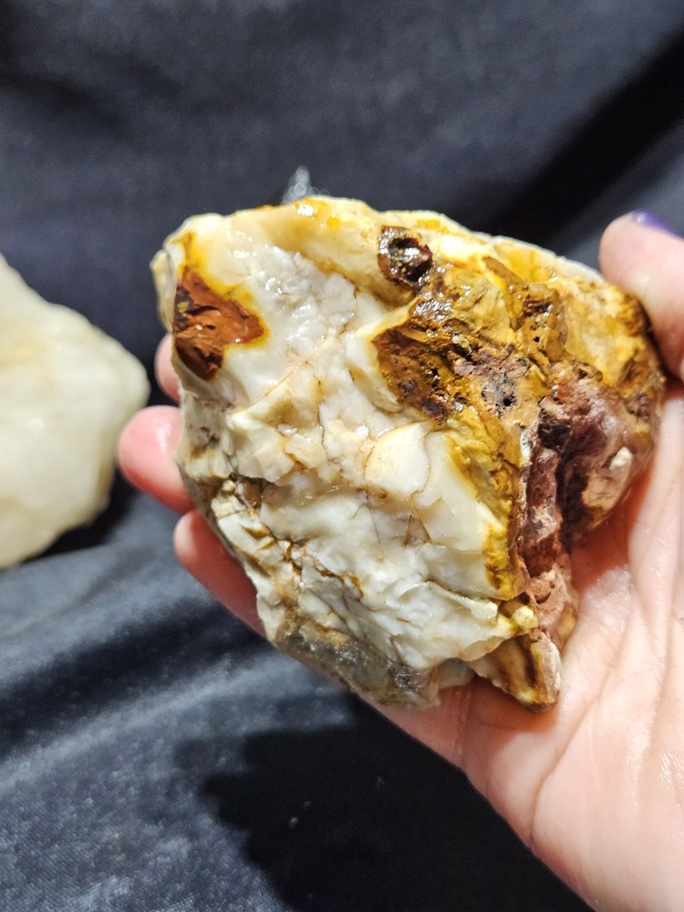Petrified Wood Fully Opalized Natural Form (9.9oz)