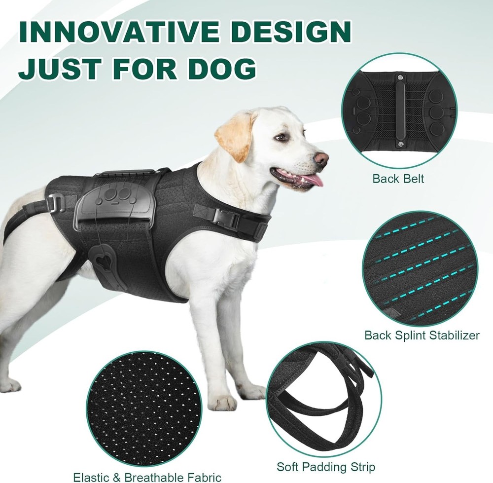 Dog Back Brace Spine Support Size L
