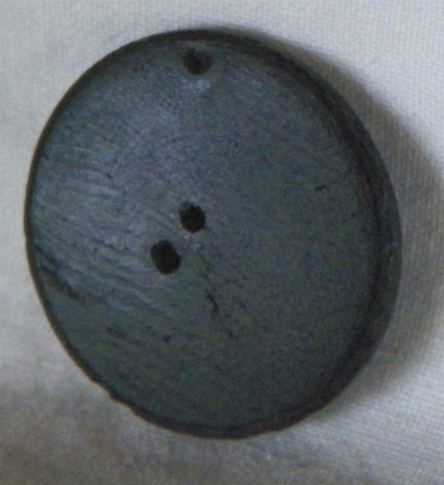 Bb Telescope Antique Molded [Bos taurus] cow Horn BUTTON medium