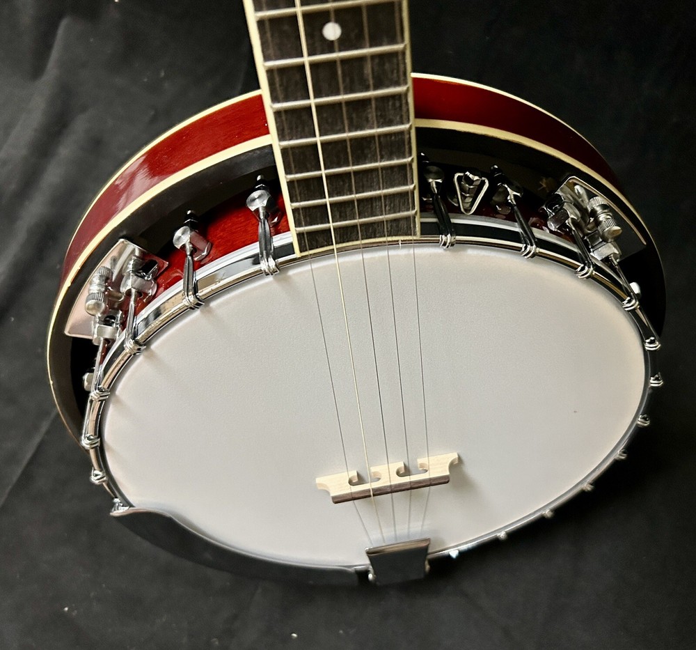 5 String Banjo, Brand Nee