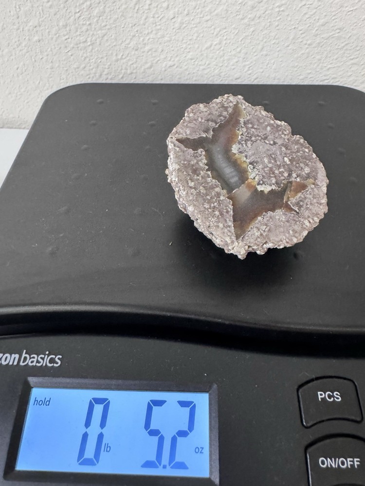 Beautiful Cut &Polished Thunder Egg 5.2OZ