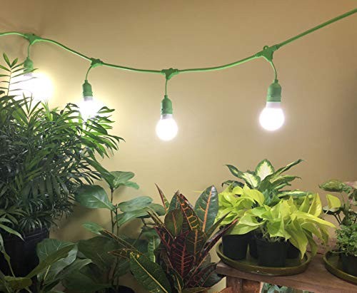 MiracleLED 604594 Multi-Plant Full Spectrum Grow Light Bulb, Single Pack,