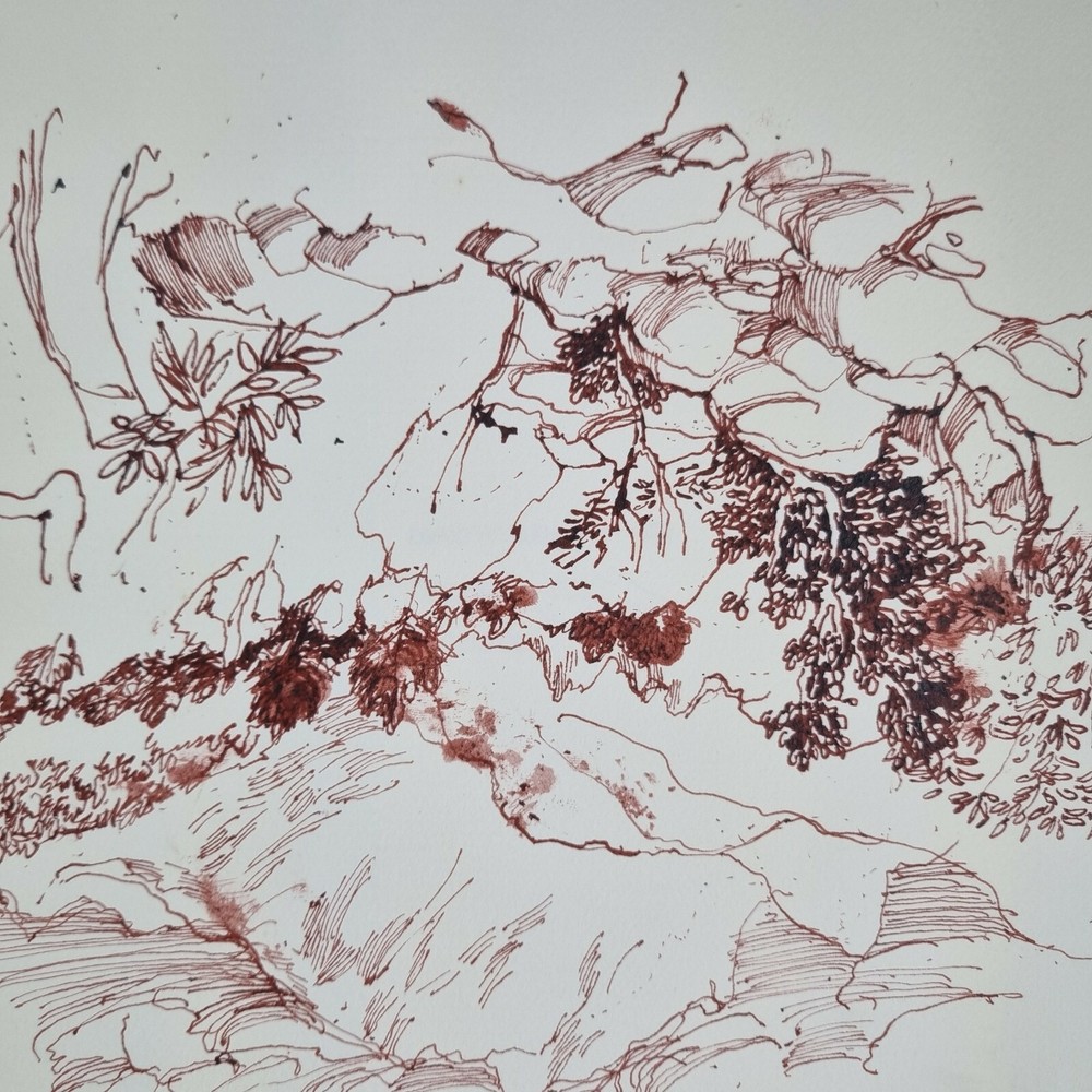 David Hutter Unsigned Ink Study Mountainous Landscape Studio Stamp