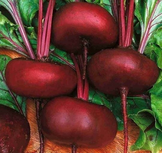 Maxi Format Lot 250 Egyptian Black Beetroot Seeds