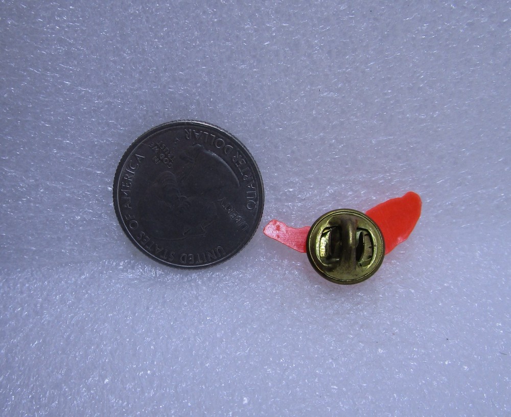 2010 Naples Florida Plastic Pin