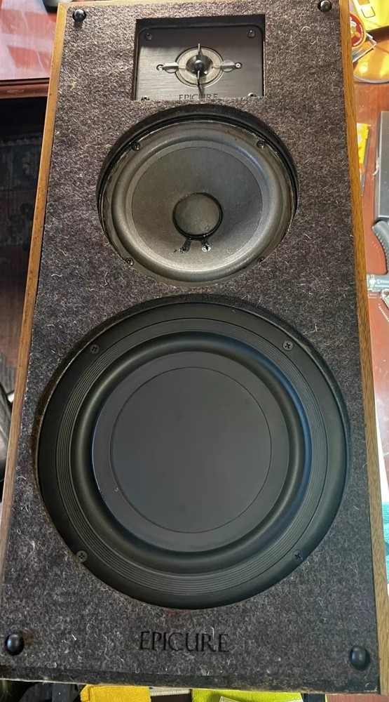 PAIR! Epicure 2.0 anti diffraction pad set with tweeter insert.