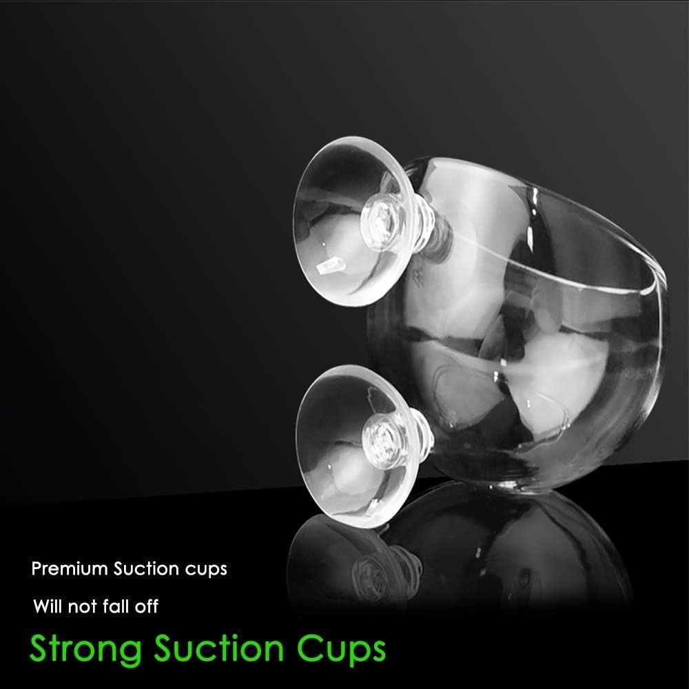Crystal Glass Aquarium Plant Pot - 4 Pack