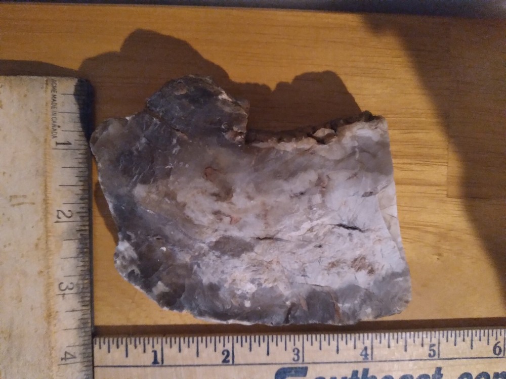 Opalized Wood Slab