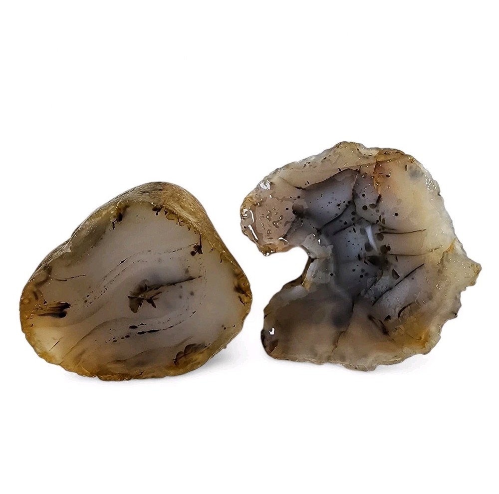 Montana Agate Faced Nodules 254.2 grams.