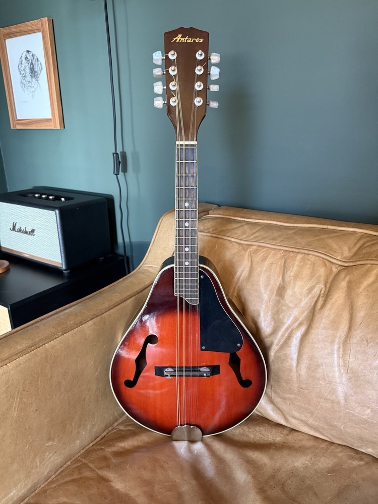 Antares 8-String  Mandolin