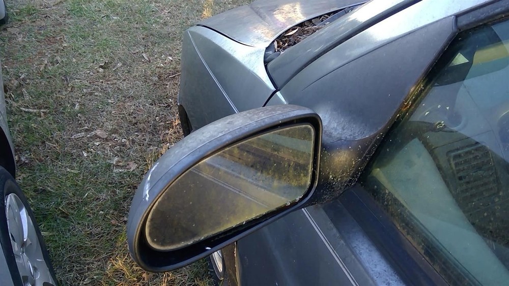 Driver Side View Mirror Power Excluding St Fits 00-07 FOCUS 273768